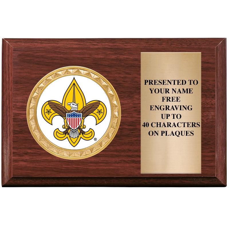 6" X 4" WOOD INSERT PLQ