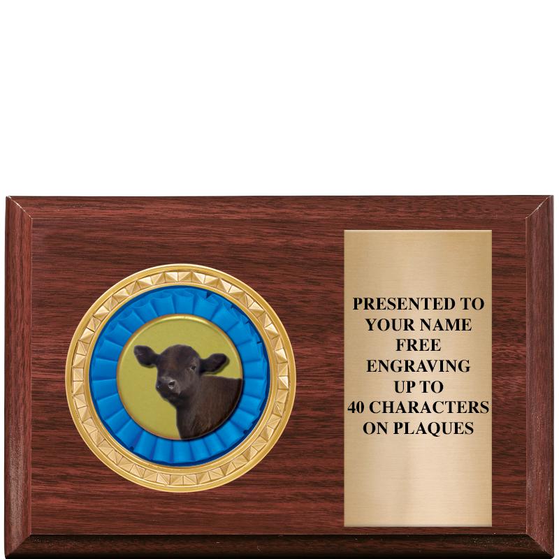 6" X 4" WOOD INSERT PLQ