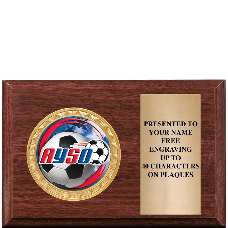 6" X 4" WOOD INSERT PLQ