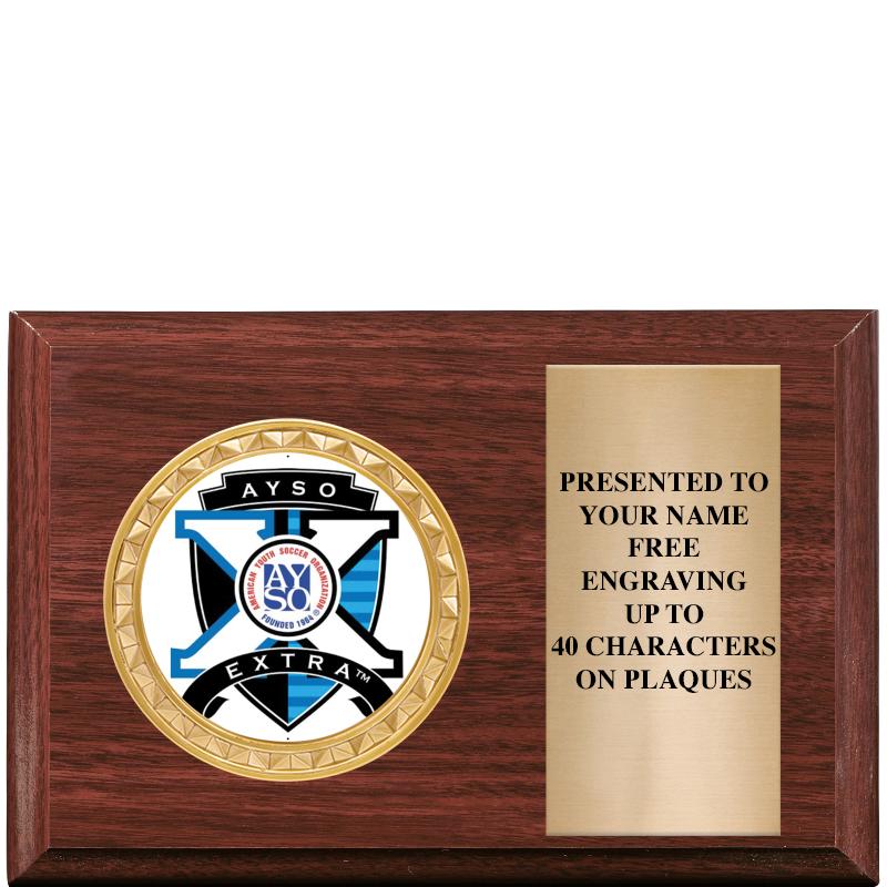 6" X 4" WOOD INSERT PLQ