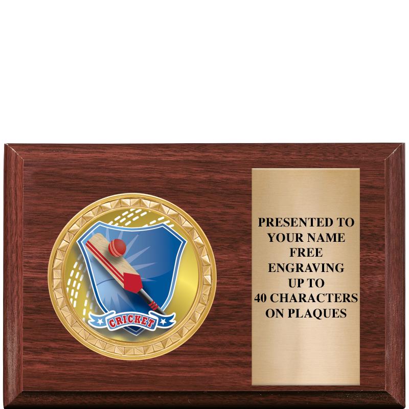 6" X 4" WOOD INSERT PLQ