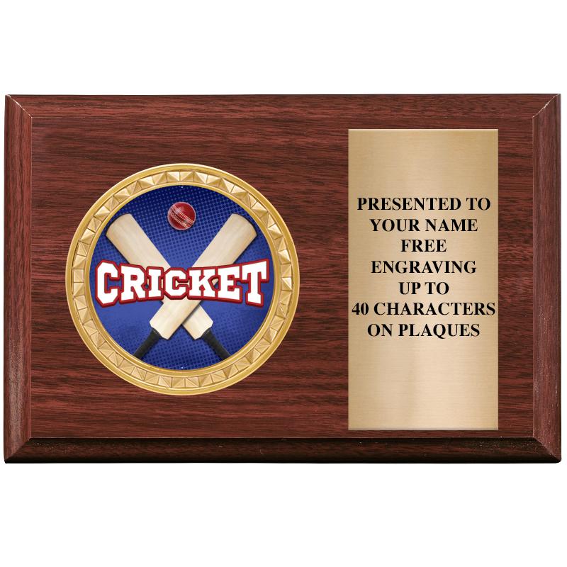 6" X 4" WOOD INSERT PLQ