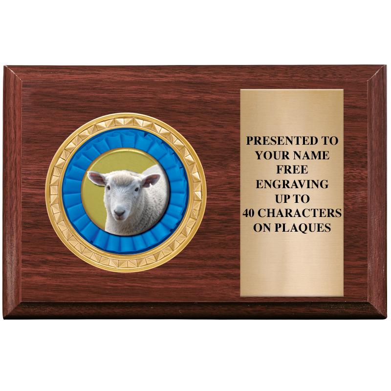 6" X 4" WOOD INSERT PLQ