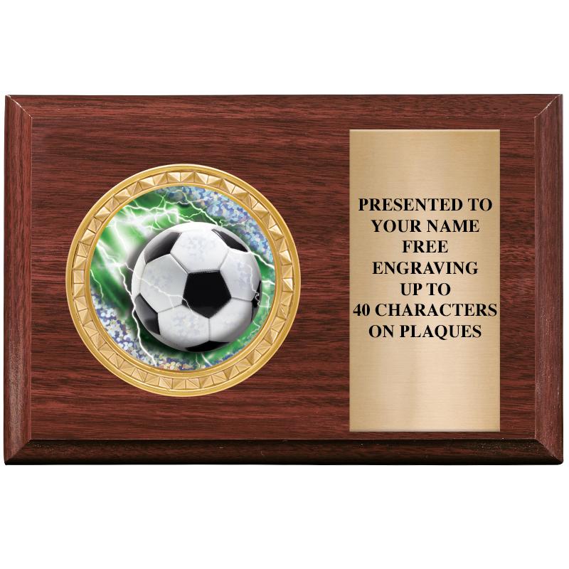 6" X 4" WOOD INSERT PLQ