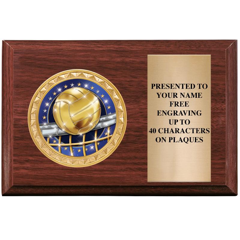 6" X 4" WOOD INSERT PLQ