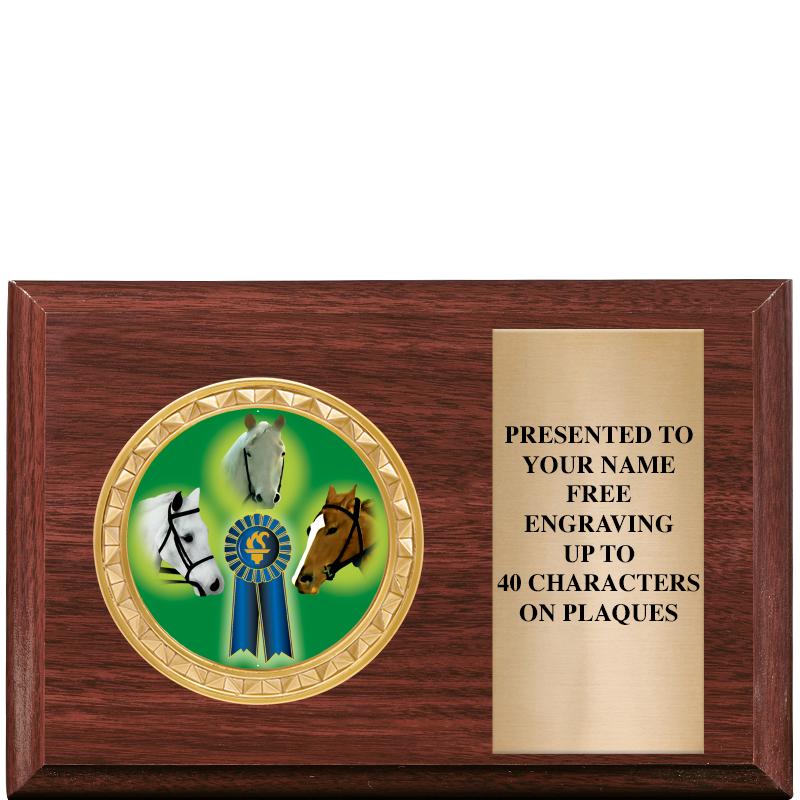 6" X 4" WOOD INSERT PLQ