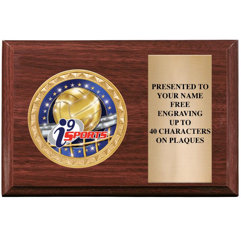 6" X 4" WOOD INSERT PLQ
