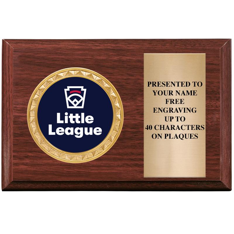 6" X 4" WOOD INSERT PLQ