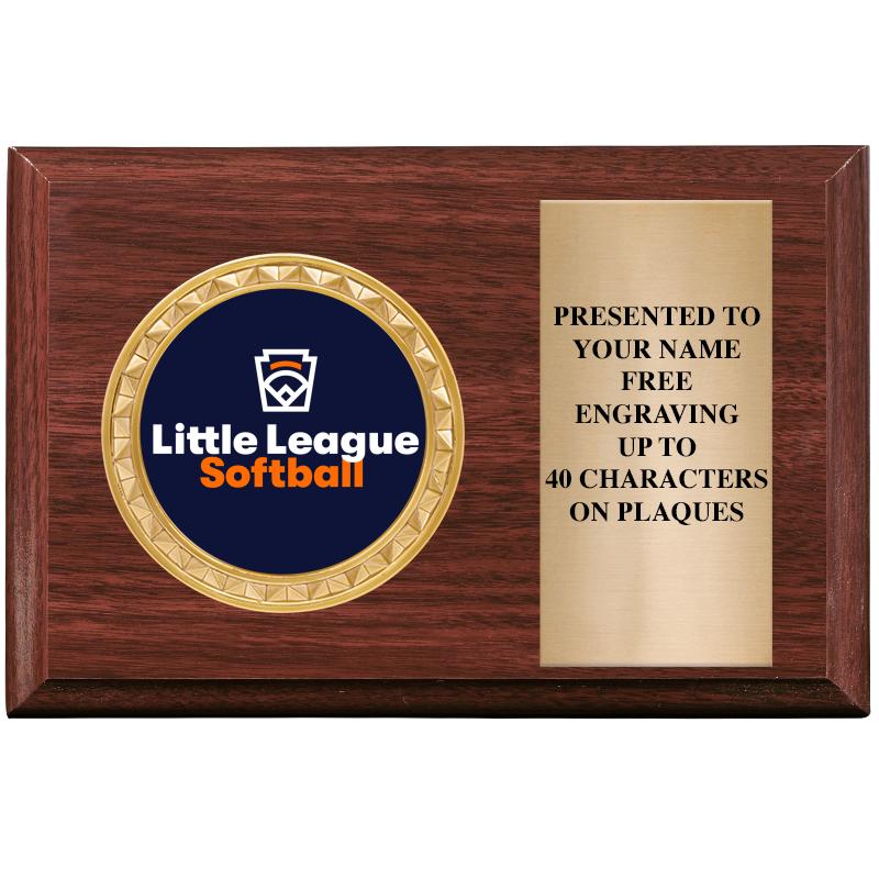 6" X 4" WOOD INSERT PLQ