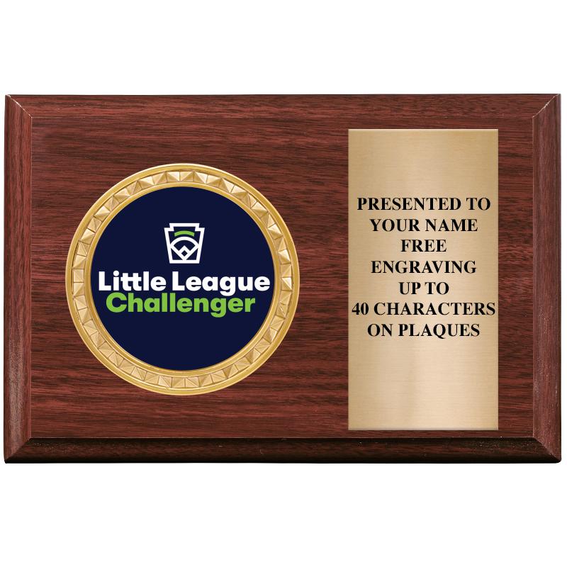 6" X 4" WOOD INSERT PLQ