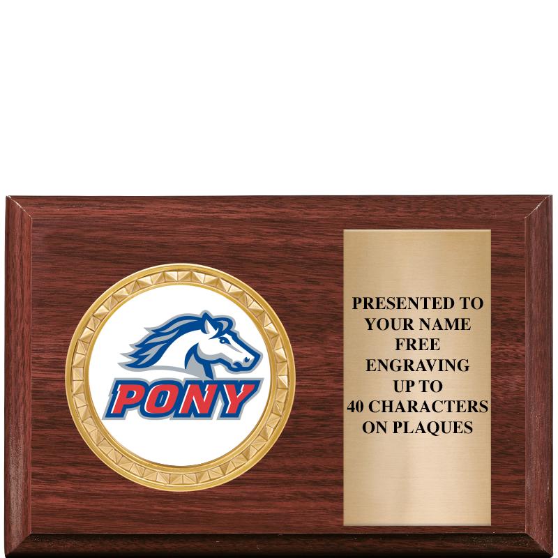 6" X 4" WOOD INSERT PLQ