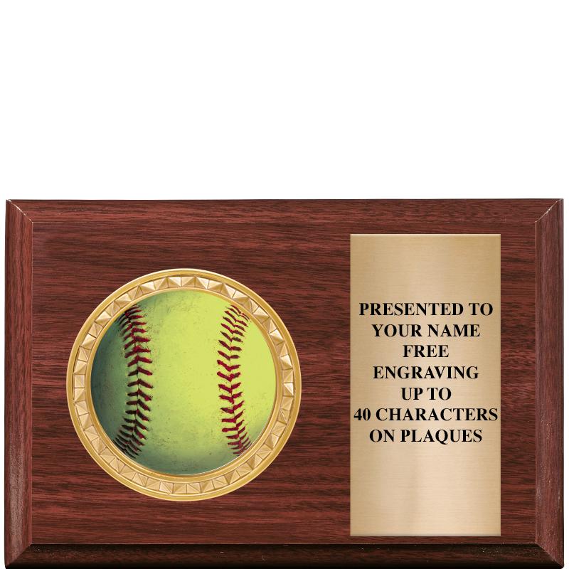 6" X 4" WOOD INSERT PLQ