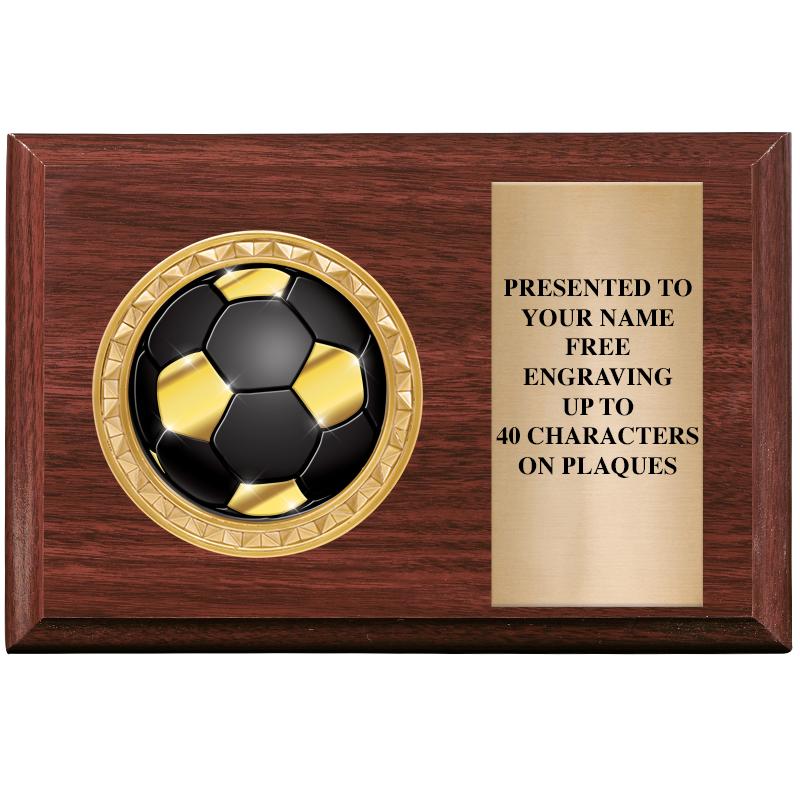 6" X 4" WOOD INSERT PLQ