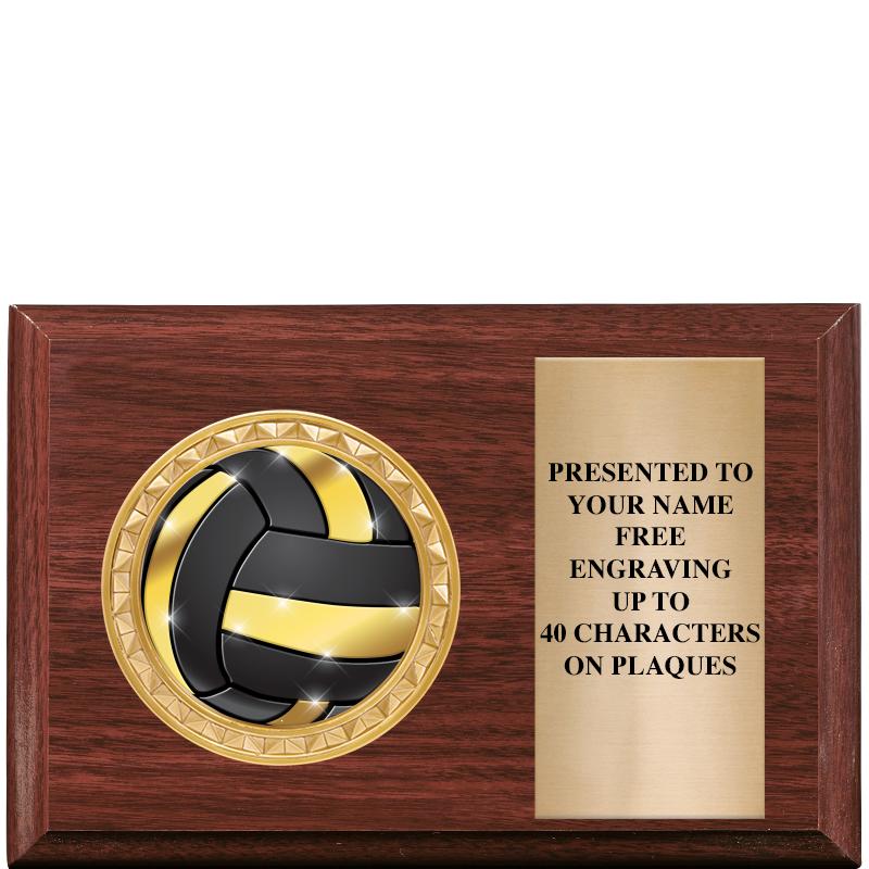 6" X 4" WOOD INSERT PLQ