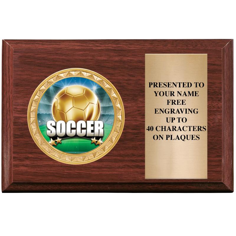 6" X 4" WOOD INSERT PLQ