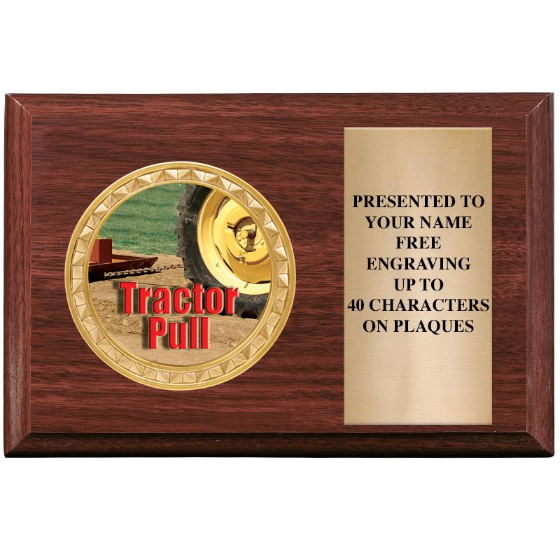 6" X 4" WOOD INSERT PLQ