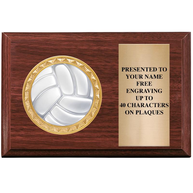 6" X 4" WOOD INSERT PLQ