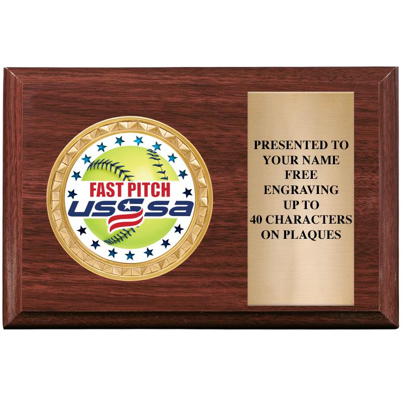 6" X 4" WOOD INSERT PLQ