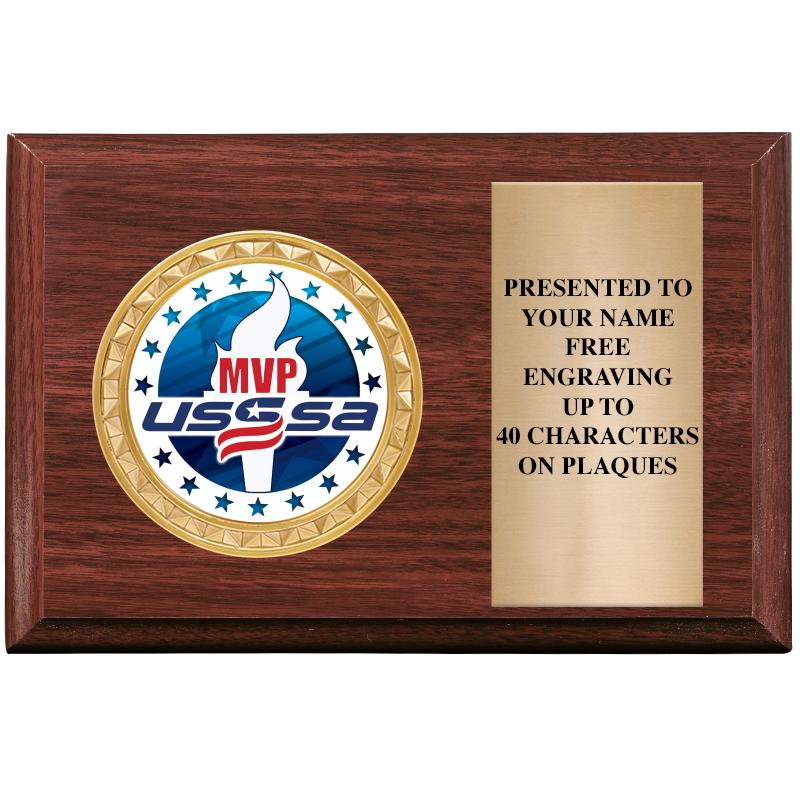 6" X 4" WOOD INSERT PLQ