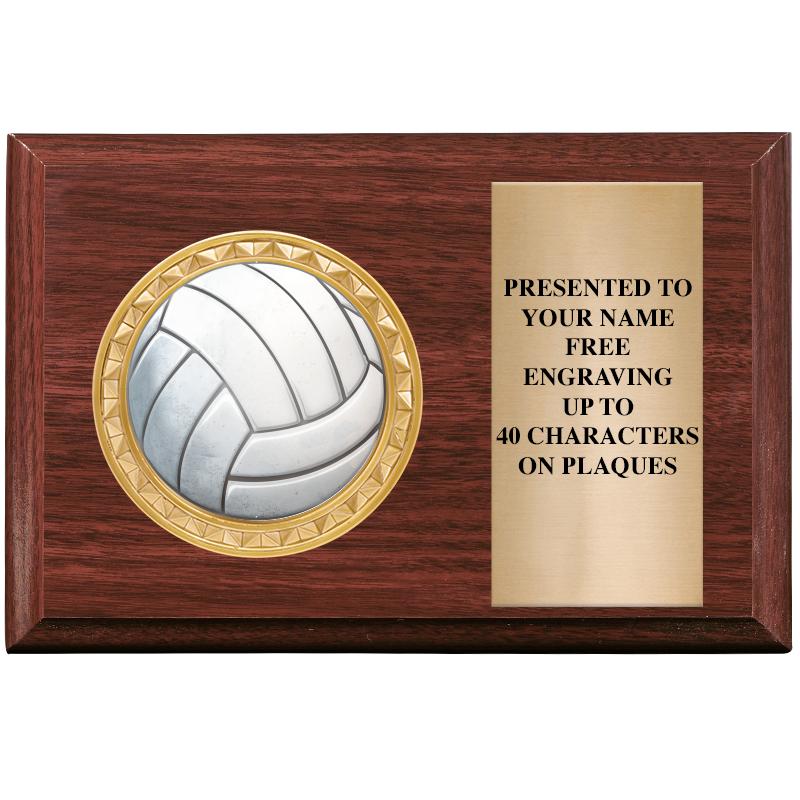 6" X 4" WOOD INSERT PLQ