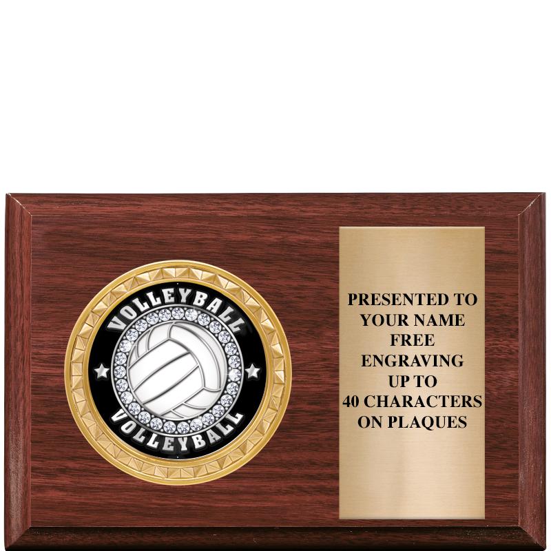 6" X 4" WOOD INSERT PLQ