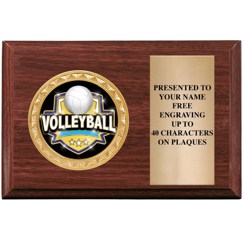 6" X 4" WOOD INSERT PLQ