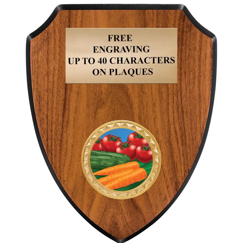 6"X7.5" WOOD SHIELD INSERT PLQ