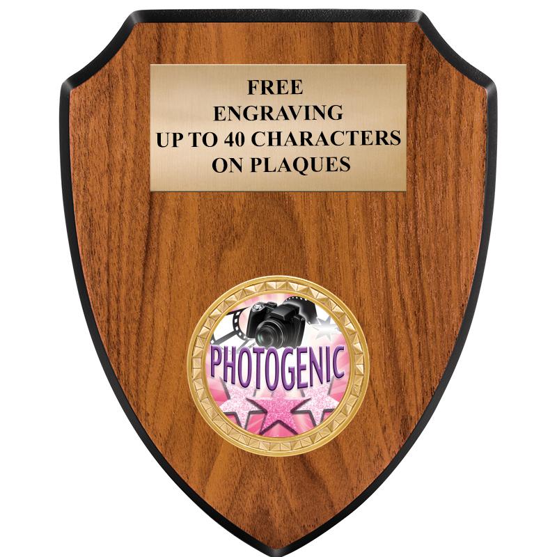 6"X7.5" WOOD SHIELD INSERT PLQ