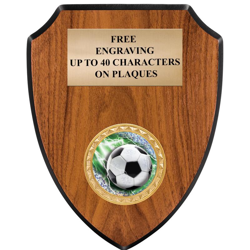 6"X7.5" WOOD SHIELD INSERT PLQ