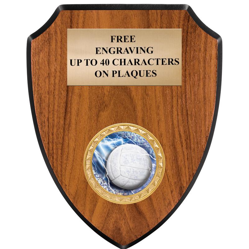 6"X7.5" WOOD SHIELD INSERT PLQ