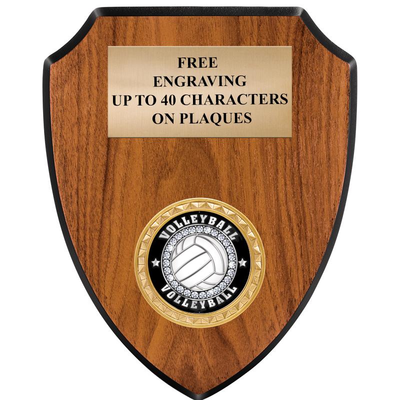 6"X7.5" WOOD SHIELD INSERT PLQ