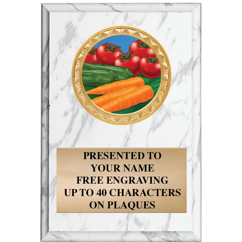 4" X 6" WHITE MBL INSERT PLQ