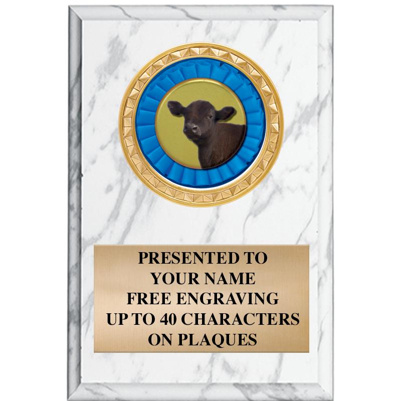 4" X 6" WHITE MBL INSERT PLQ