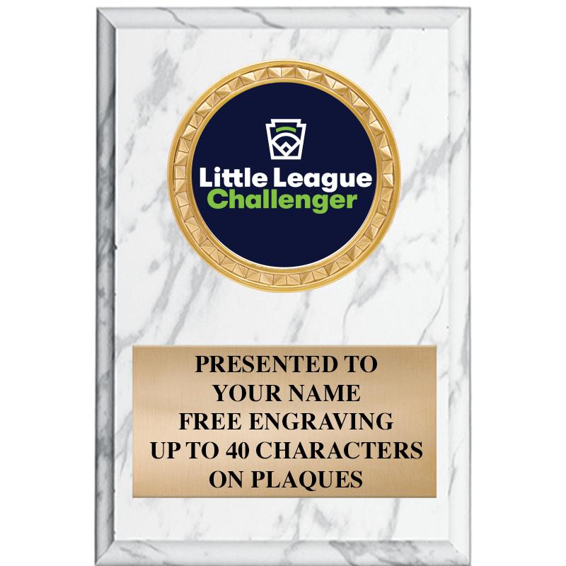 4" X 6" WHITE MBL INSERT PLQ