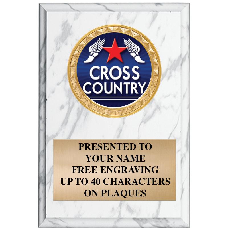 4" X 6" WHITE MBL INSERT PLQ