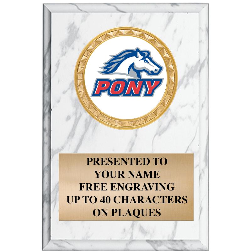 4" X 6" WHITE MBL INSERT PLQ