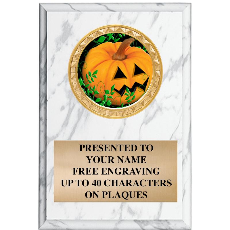 4" X 6" WHITE MBL INSERT PLQ