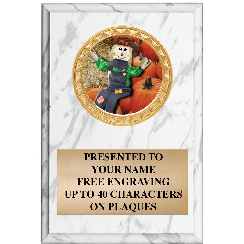 4" X 6" WHITE MBL INSERT PLQ