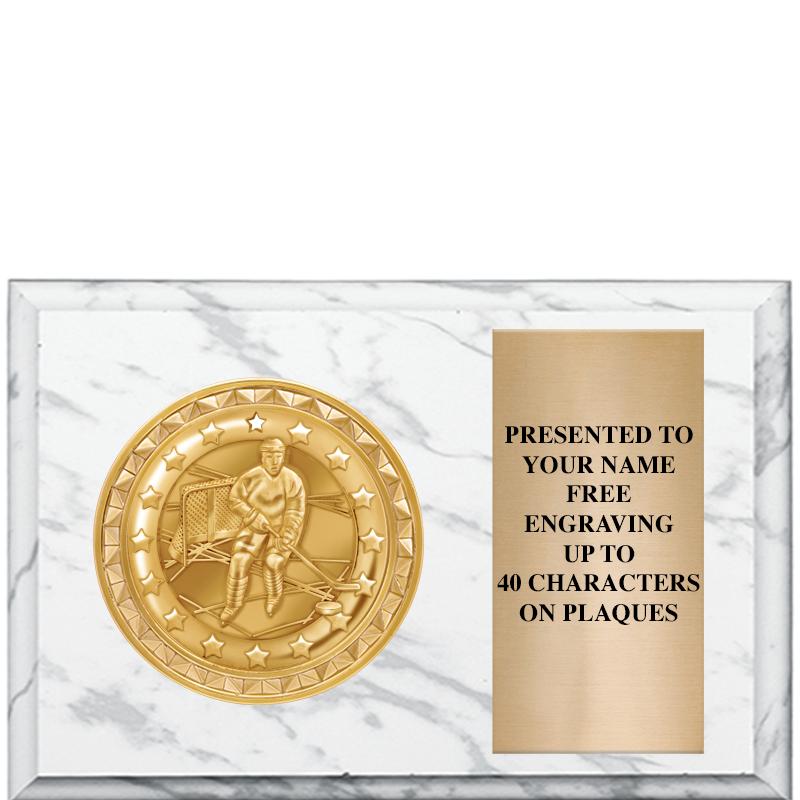 6" X 4" WHITE MBL INSERT PLQ