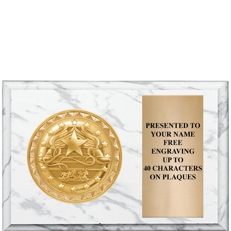 6" X 4" WHITE MBL INSERT PLQ