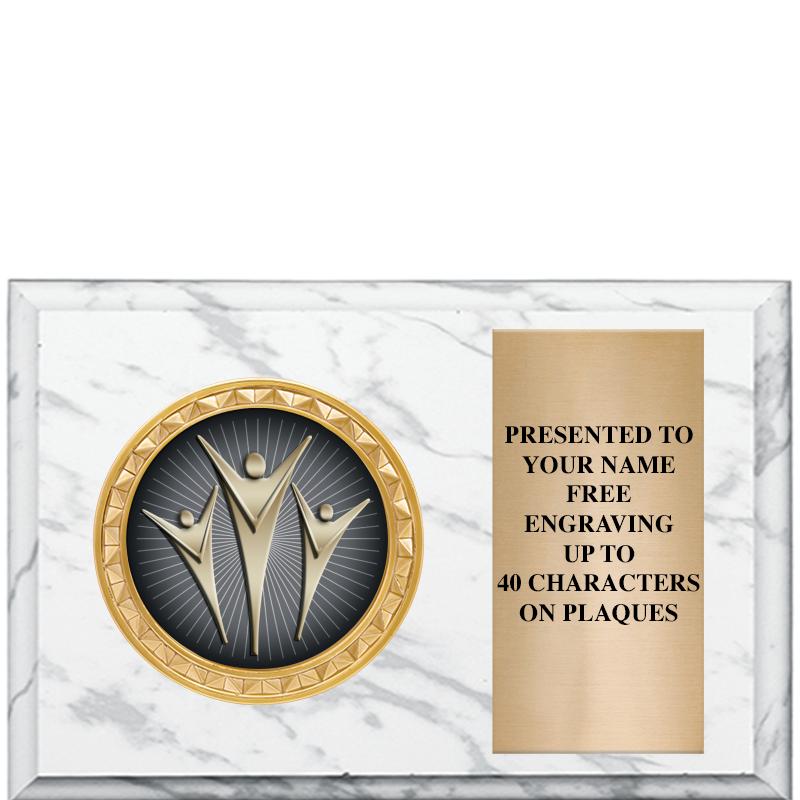 6" X 4" WHITE MBL INSERT PLQ