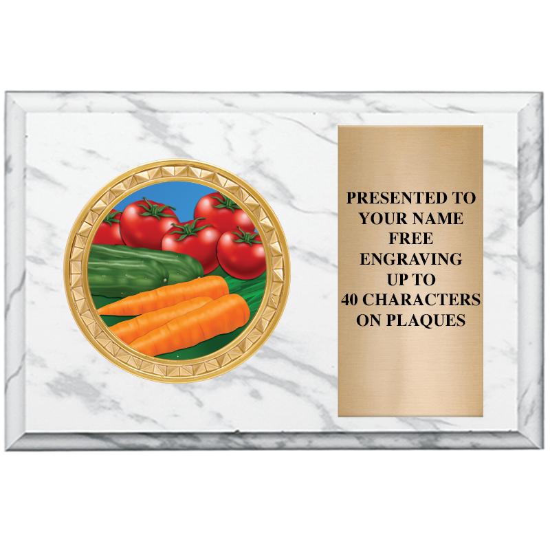 6" X 4" WHITE MBL INSERT PLQ