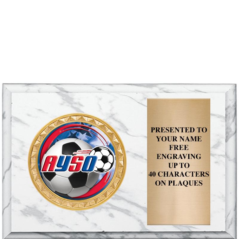 6" X 4" WHITE MBL INSERT PLQ