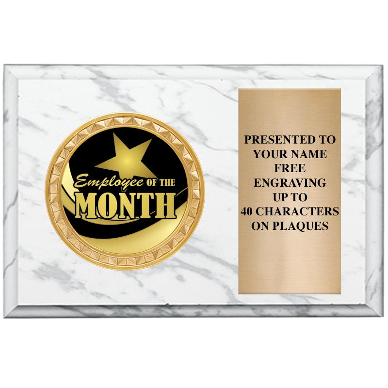 6" X 4" WHITE MBL INSERT PLQ