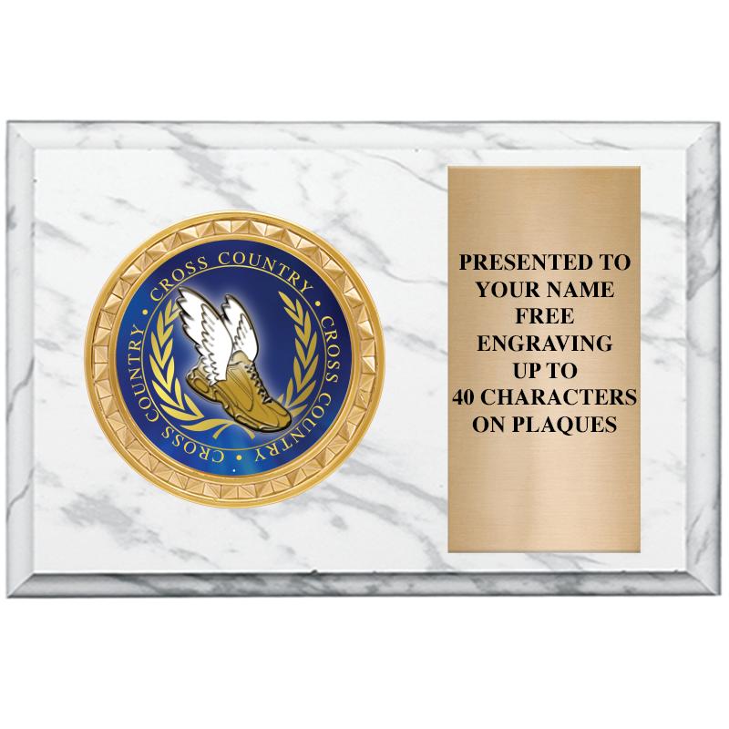 6" X 4" WHITE MBL INSERT PLQ