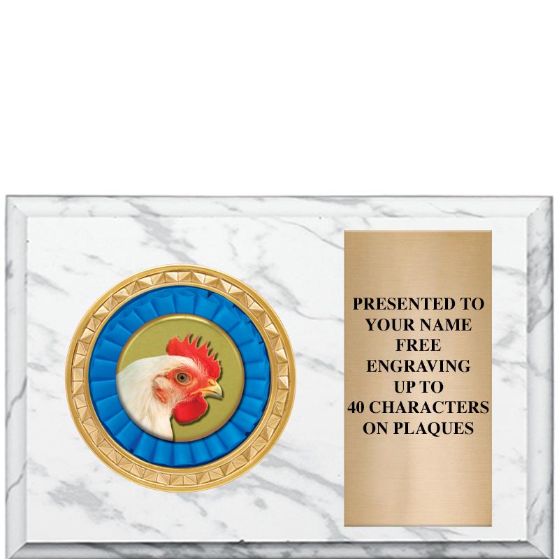 6" X 4" WHITE MBL INSERT PLQ