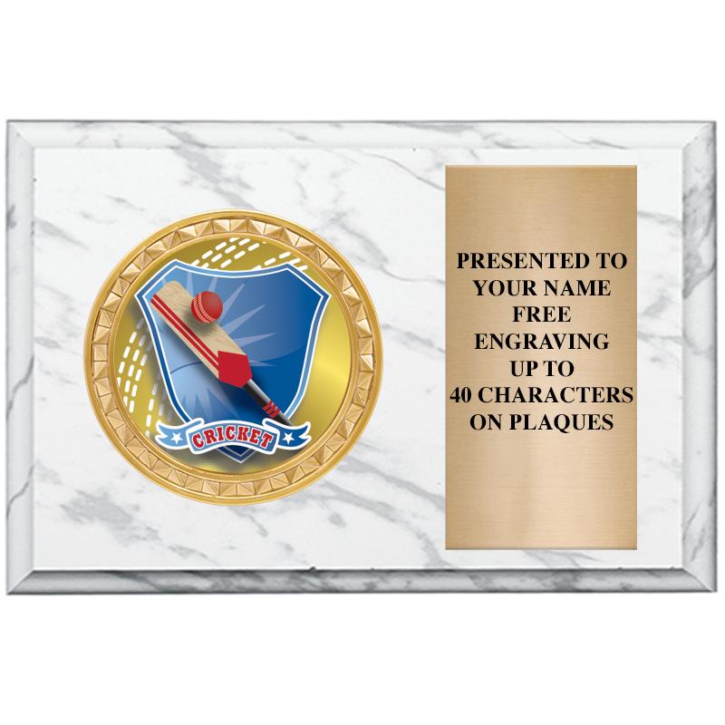 6" X 4" WHITE MBL INSERT PLQ