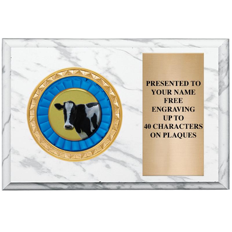 6" X 4" WHITE MBL INSERT PLQ