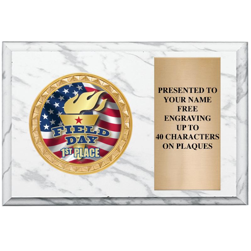 6" X 4" WHITE MBL INSERT PLQ