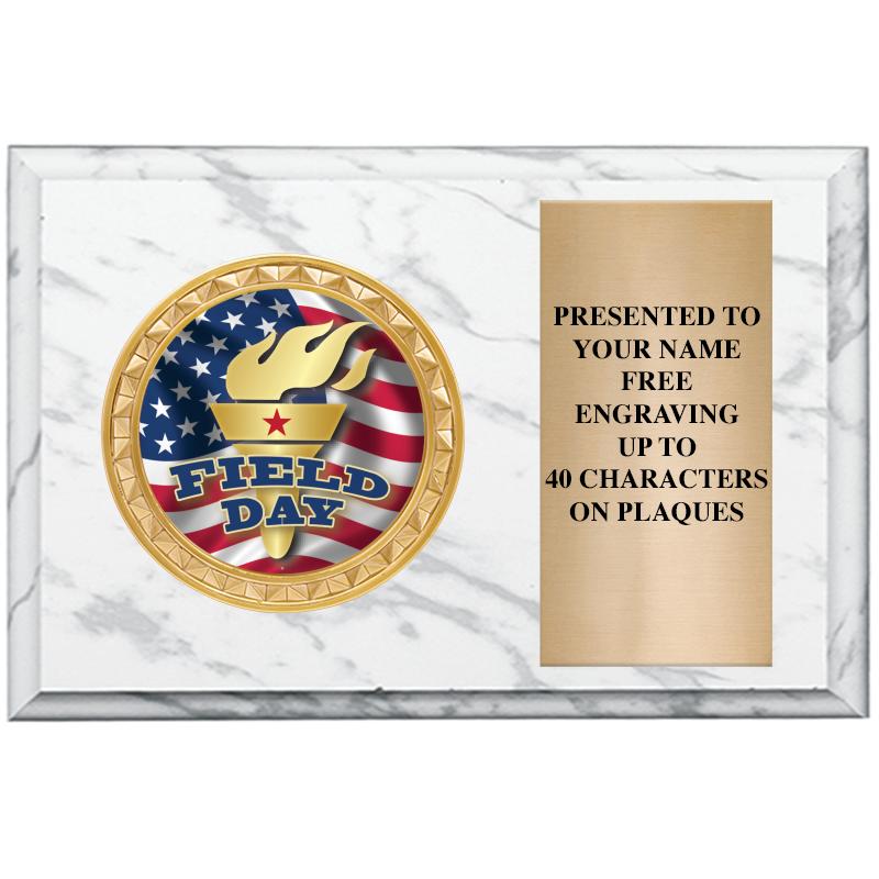 6" X 4" WHITE MBL INSERT PLQ